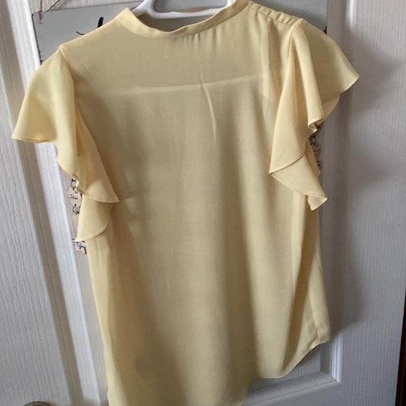 Babaton ruffle short sleeve chiffon blouse - Picture 5 of 5